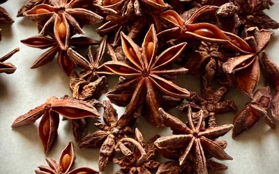 Chakra Phool (Star Anise)