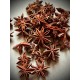 Chakra Phool (Star Anise) 